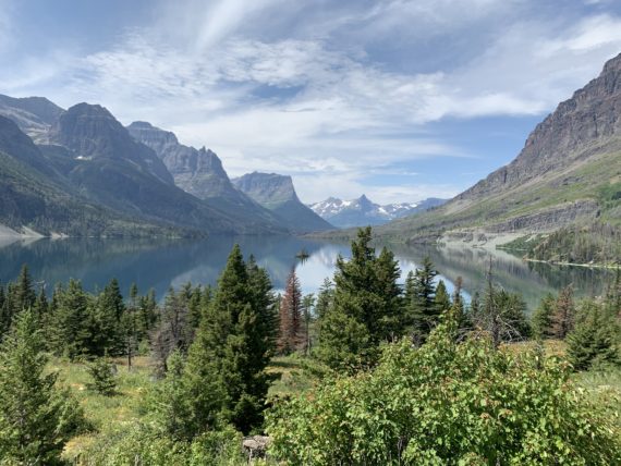 Wild Goose Island