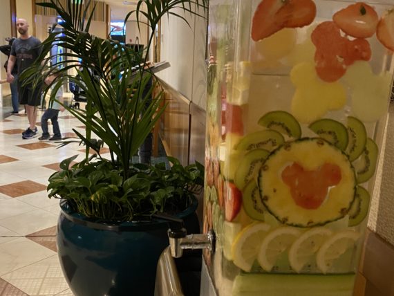 water cooler with mickey head shaped fruit