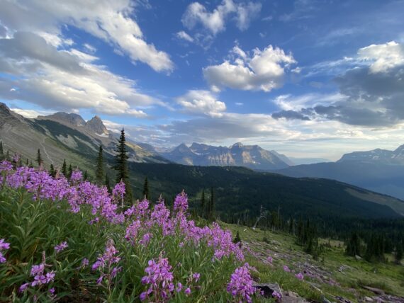 Mountains