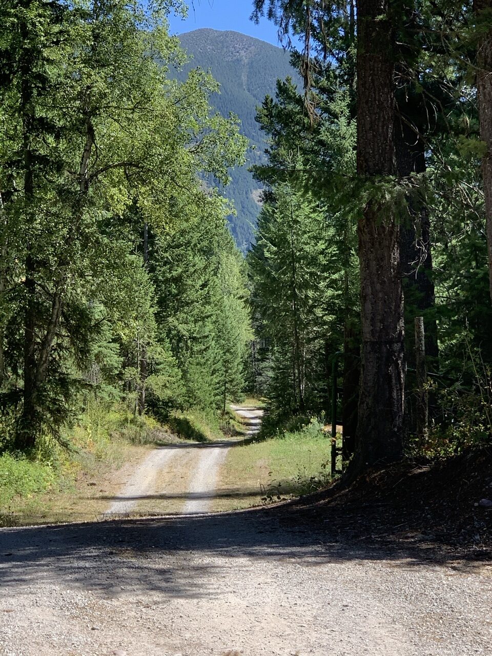 Mountain dirt road