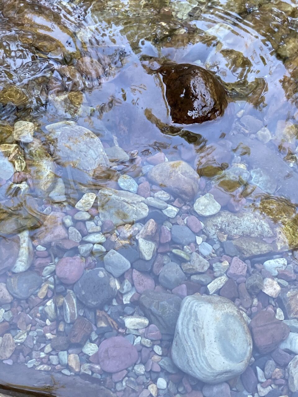 Hidden Mickey Mouse in creek bed made from rocks