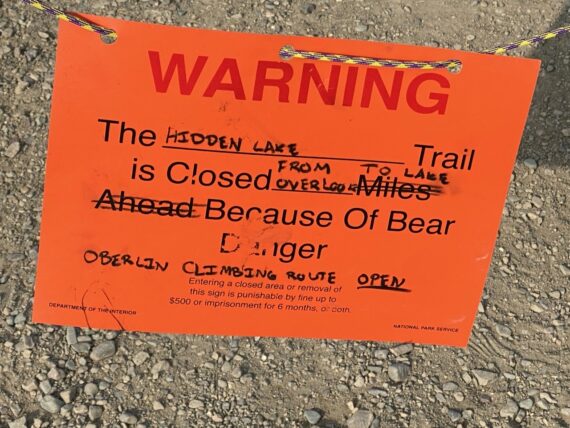 bear warning sign