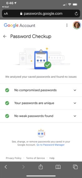 Google account security check screen shot