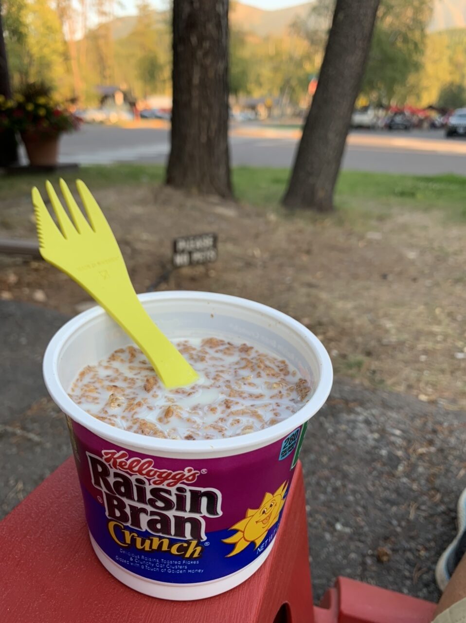 Spork in cereal bowl