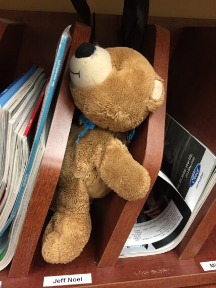 teddy bear in office mail slot