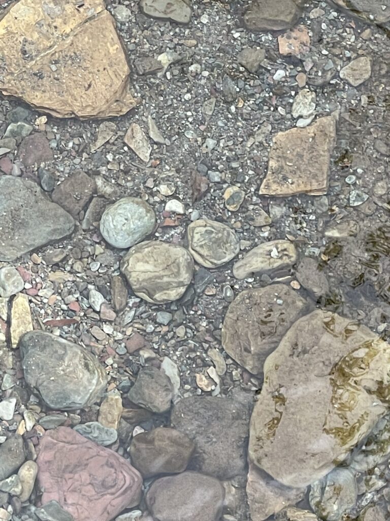 Hidden Mickey made from three creek rocks