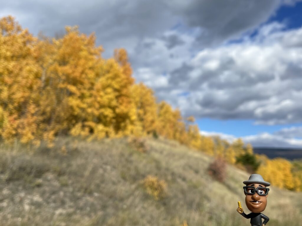 Pixar Soul toy and yellow fall leaves