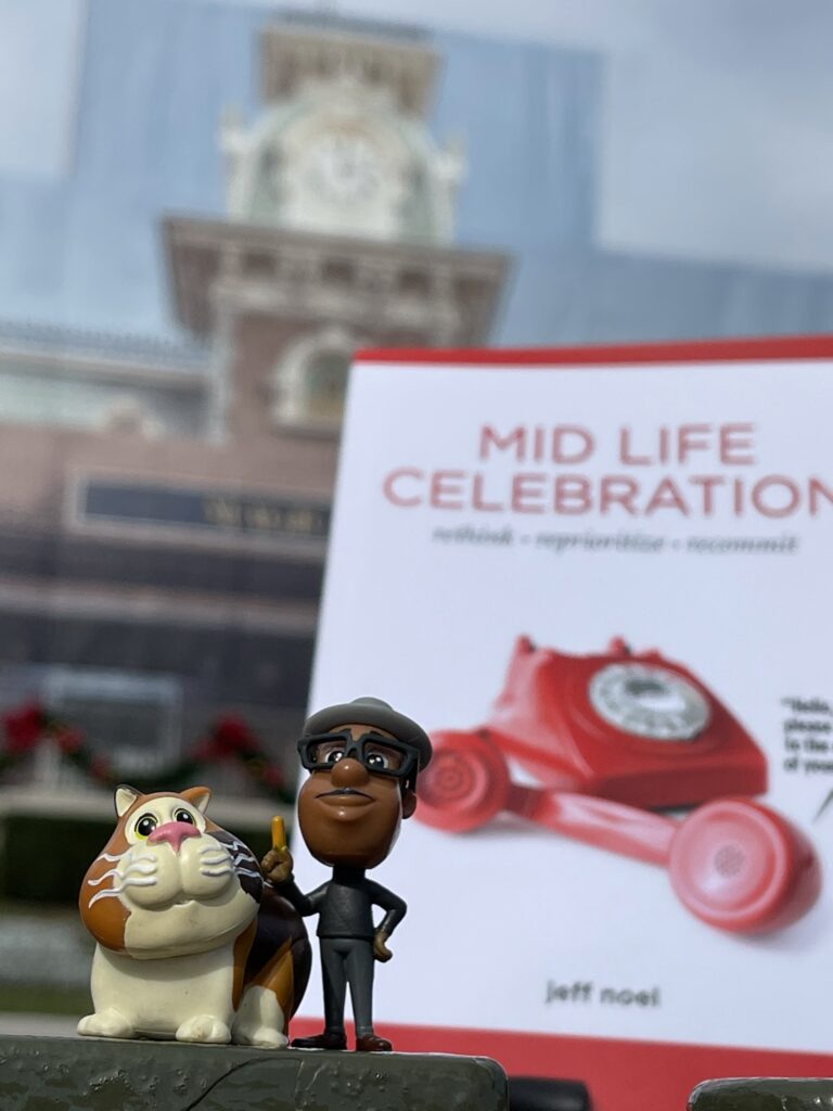 Mid Life Celebration the book