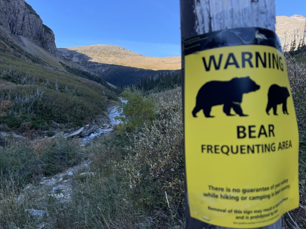 Grizzly Bear warning sign
